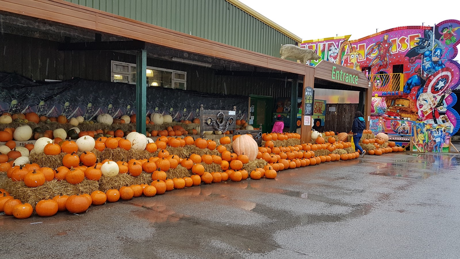 Southwood Garden Centre