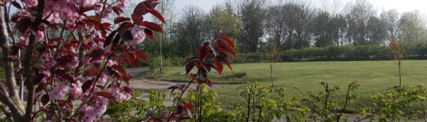 Windfarm Park