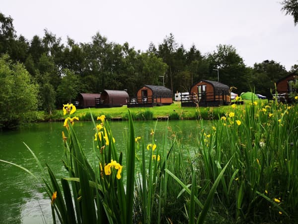 Springwood Fisheries
