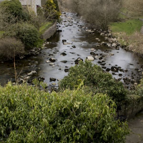 Holme Head Caravan Park, Carnforth, Craven HolidayFox