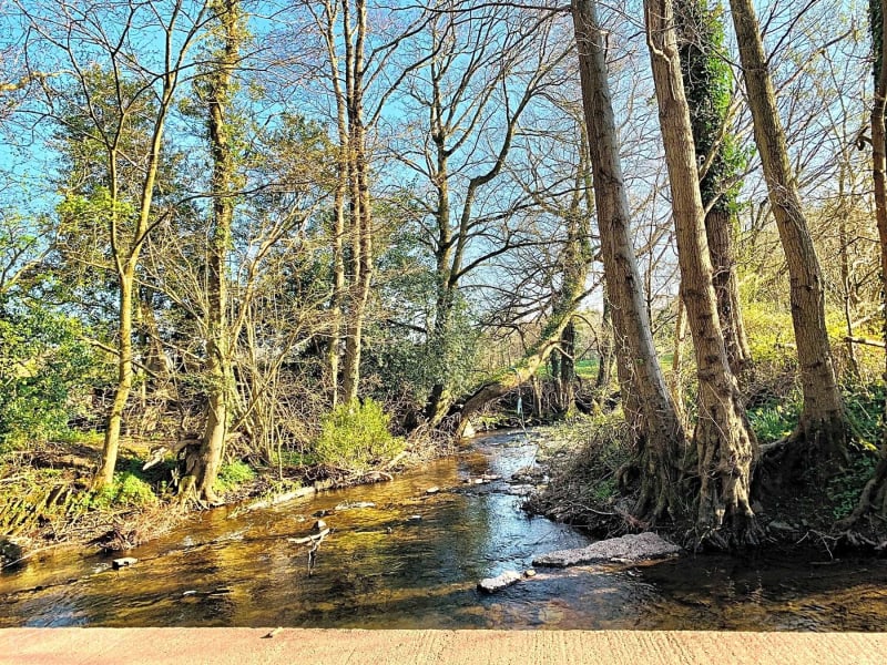 Waterside Pitch