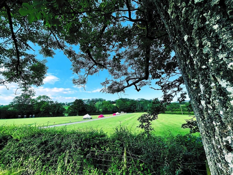 Non-Electric Grass Tent Pitch 