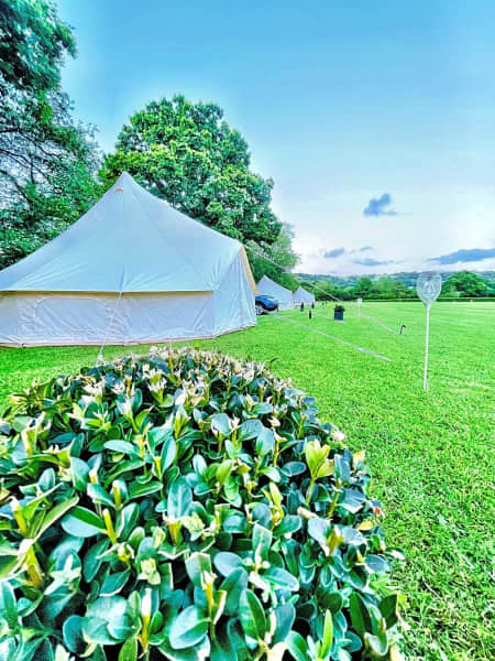 Luxury Bell Tent Sleeps 6 (NEW FOR 2026)