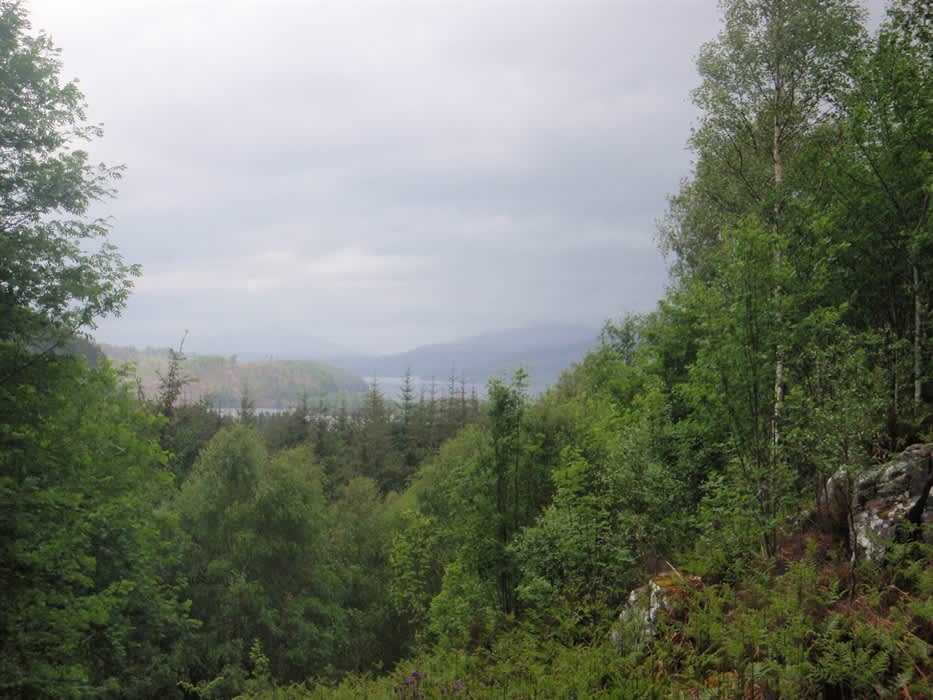 Faichemard Farm Chalets