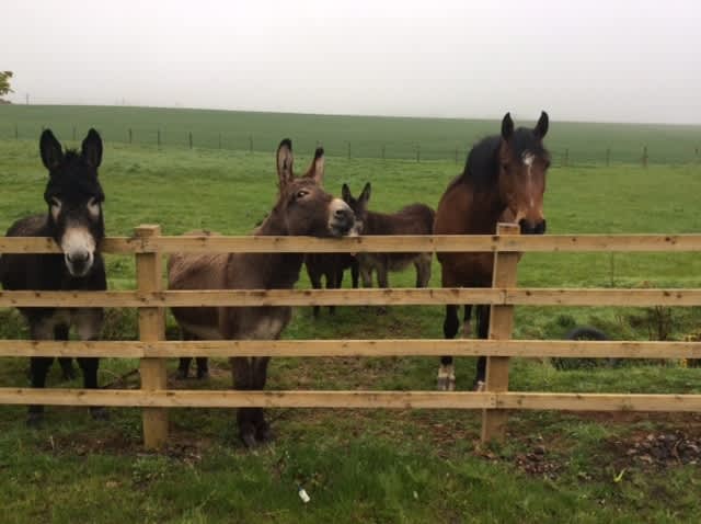 Claremont Lodge, St. Andrews
