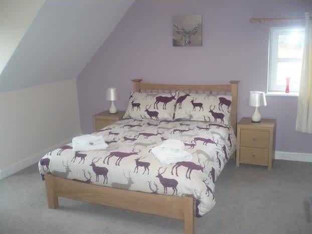 Stag House