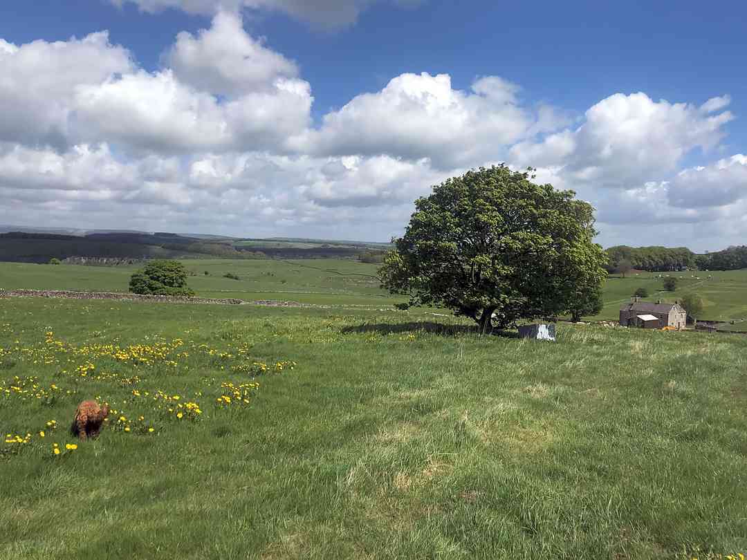 Burrs Manor Campsite