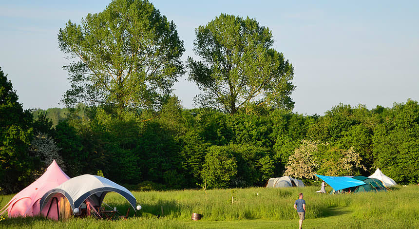 Grass Tent Pitch