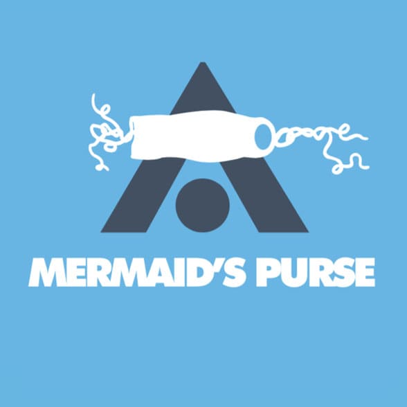 Mermaid’s Purse