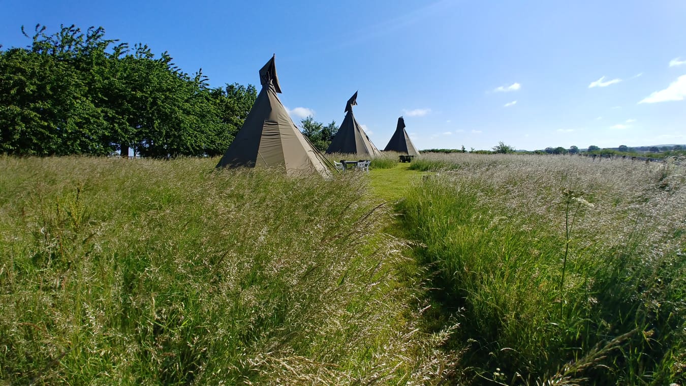 Twiteys Tipis and Campsite