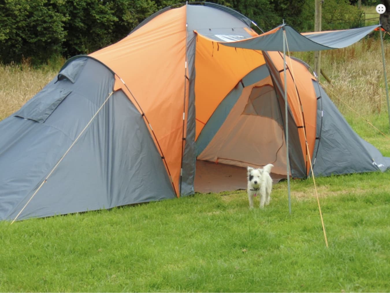 Grass Tent Pitch