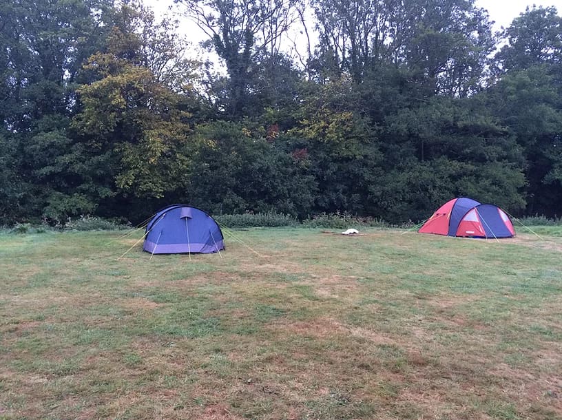 Main Meadow 