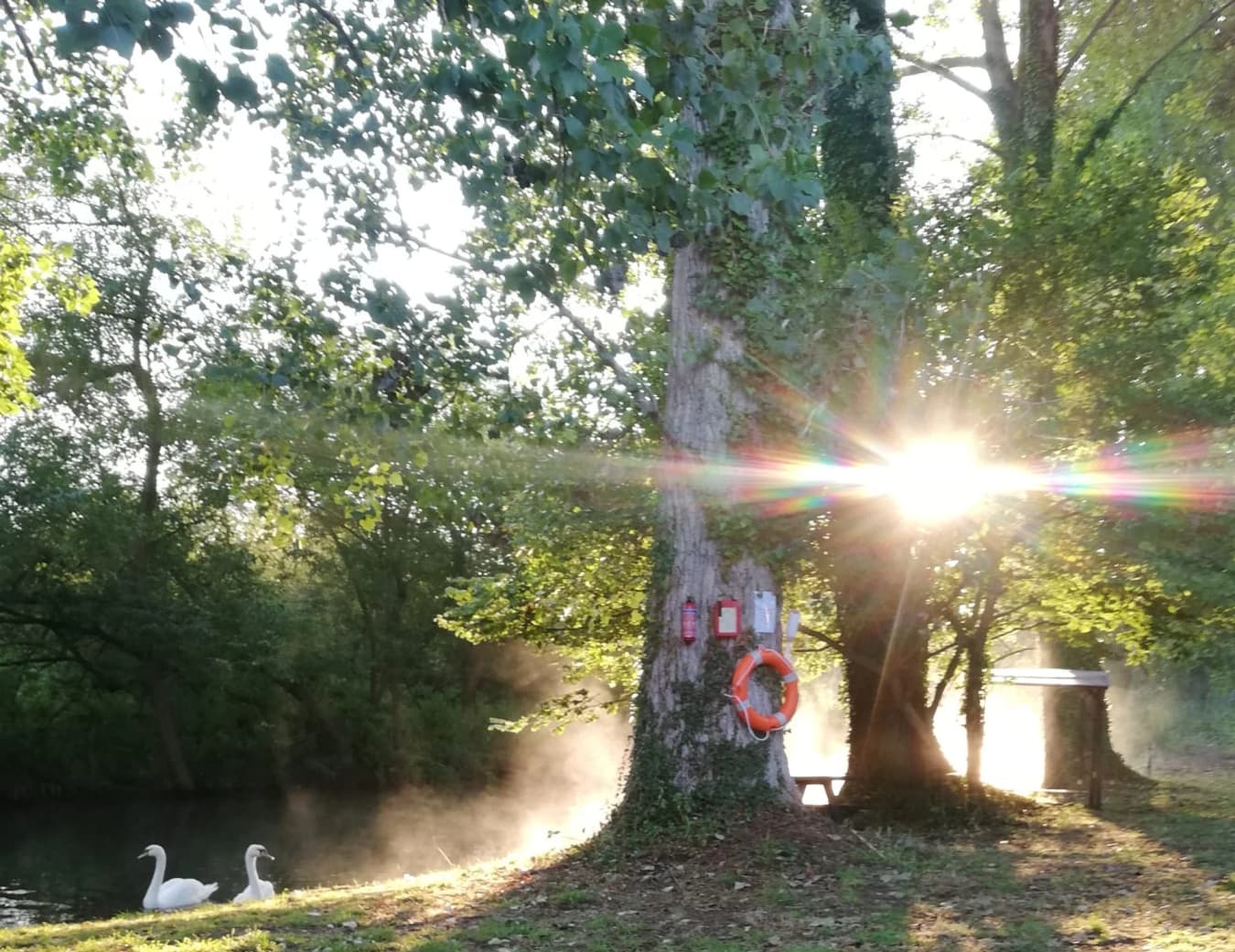 Peggy's pasture campsite