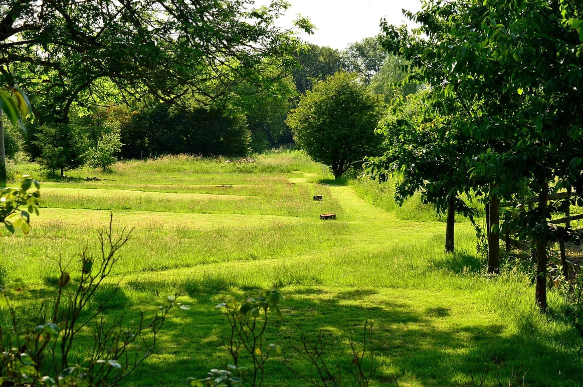 Bill Badger Tent Pitch