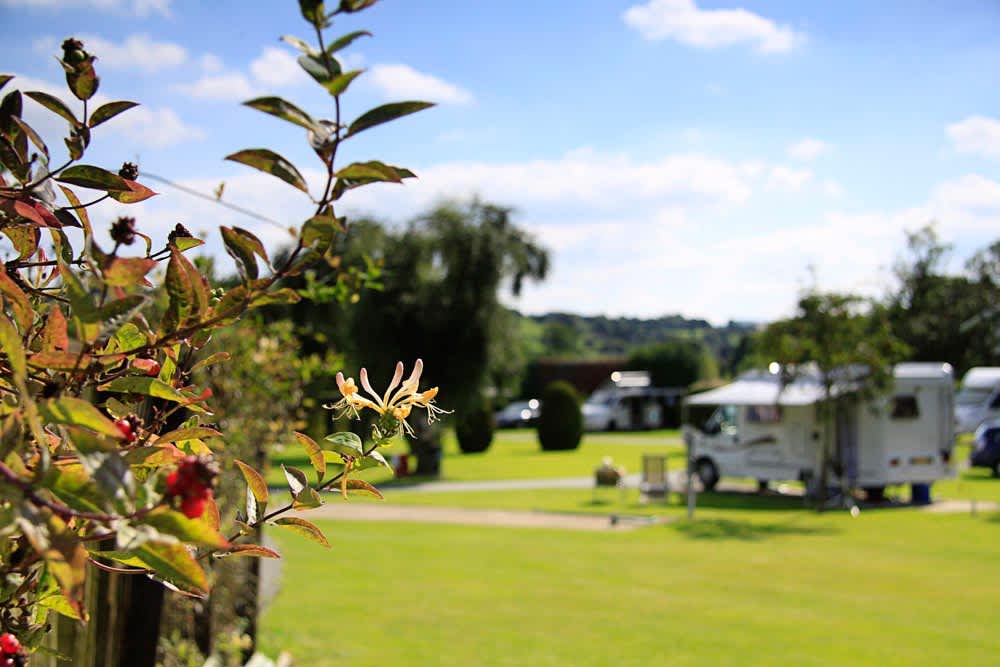 Serviced camping pitch 