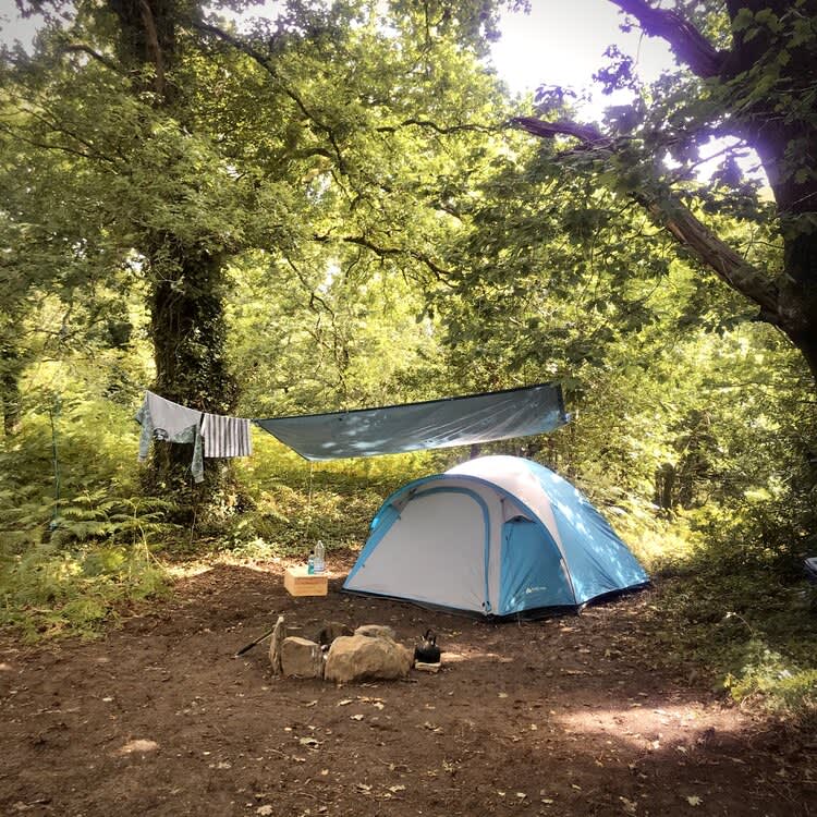Woodland Tent Pitch