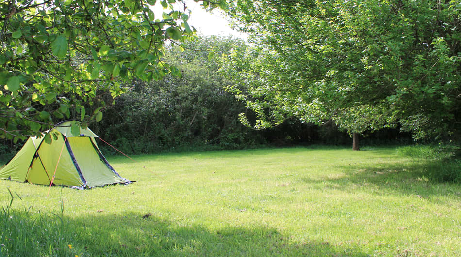 Grass Tent Pitch