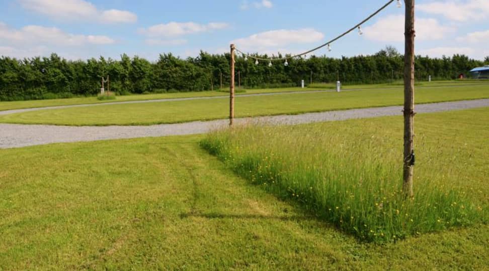 Circle Pitch with Electric