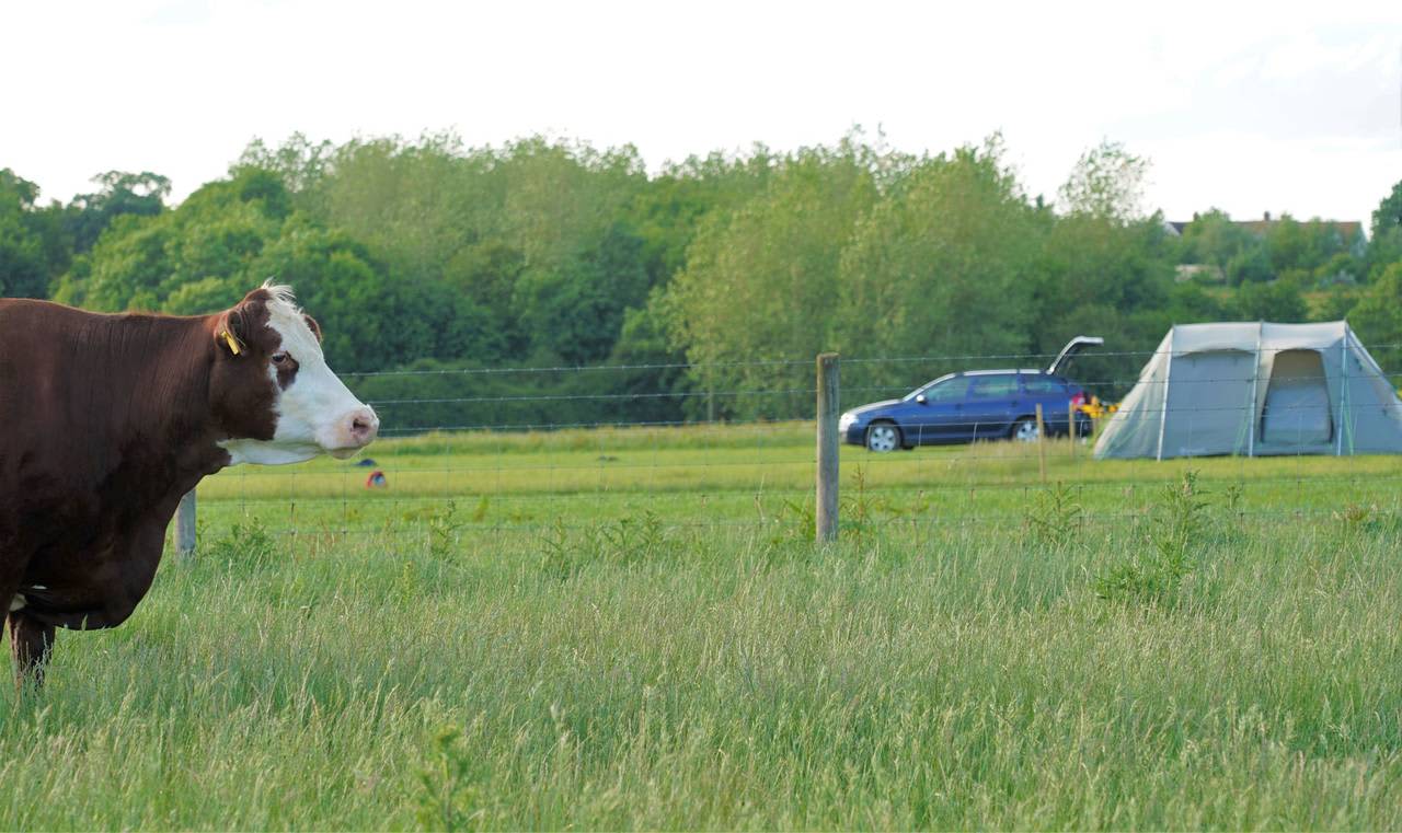 Camping At The Farm