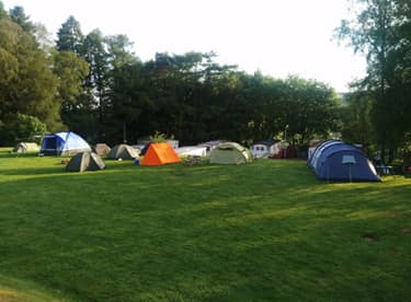 Camping Grass Pitch