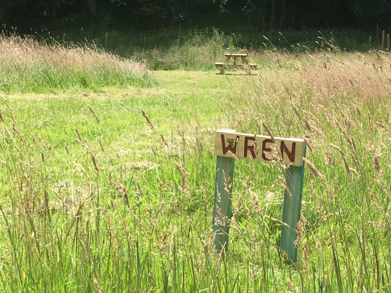  WREN PITCH