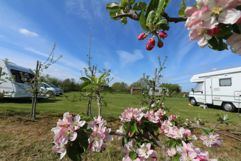 Moat Farm Camping And Caravans