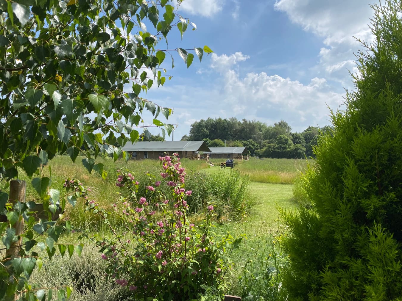 Meadow Field Luxury Glamping