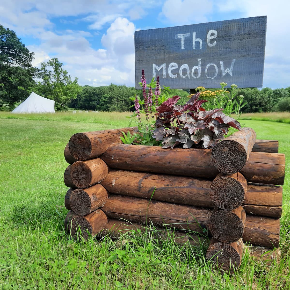 The Meadow 