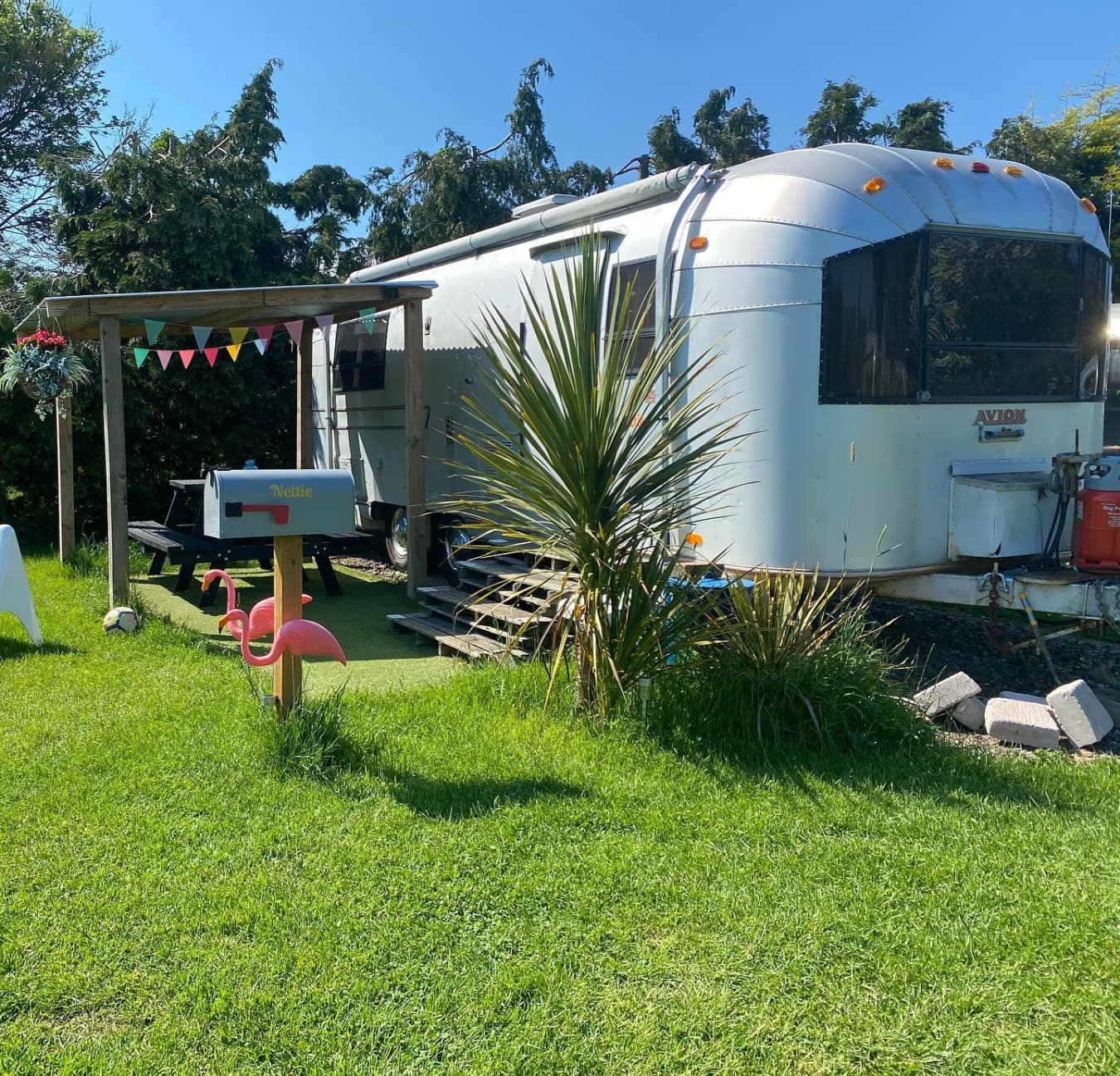 Dog Friendly Caravan - Nettie