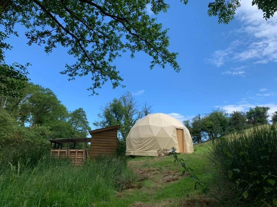 Humble Dome