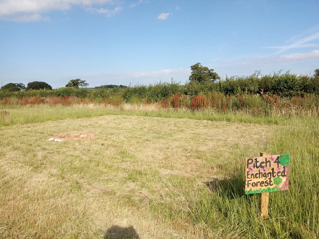 Pitch 4 - Enchanted Forest