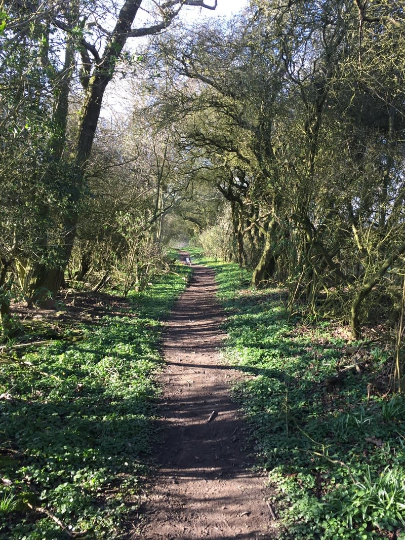 Grass Tent Pitch (Non EHU)