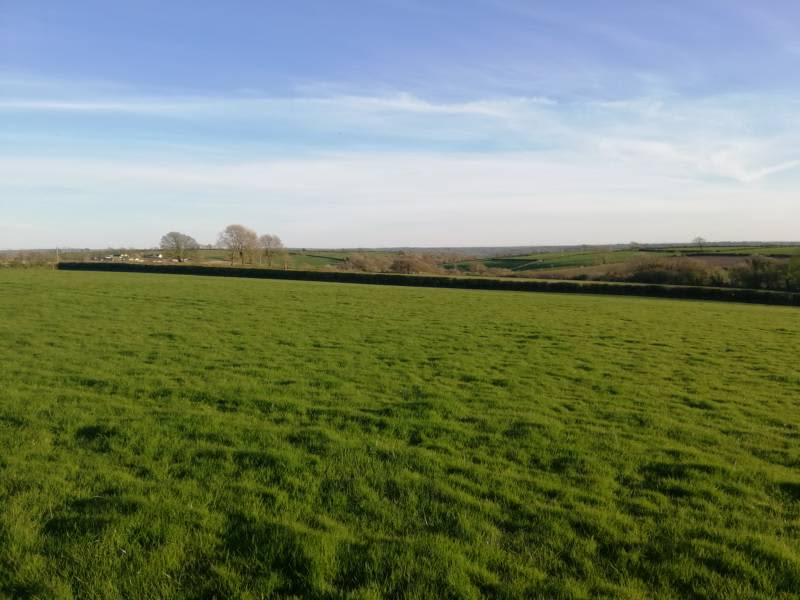 The Meadow - Tent Pitch