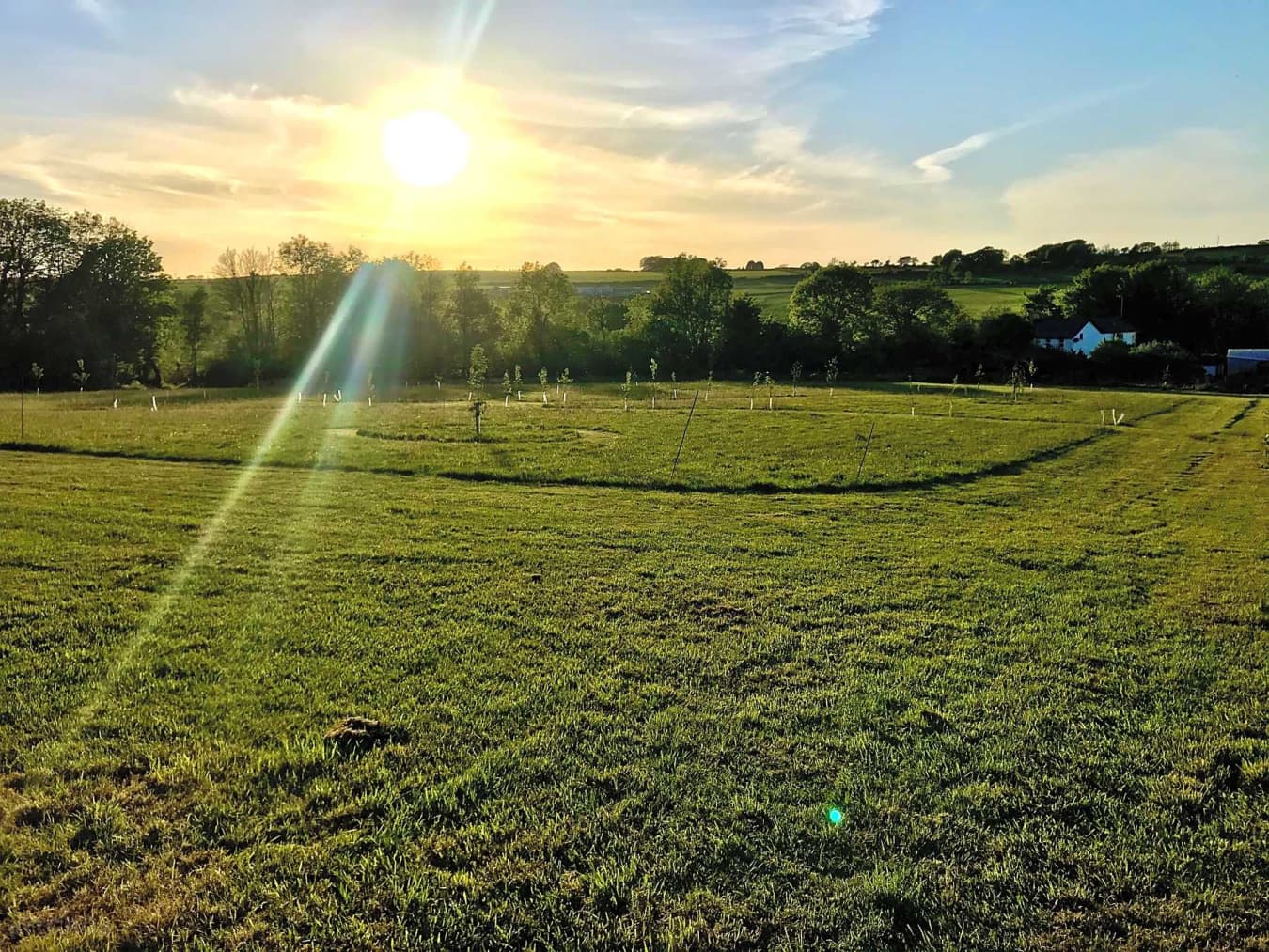 Wild Meadow Camping
