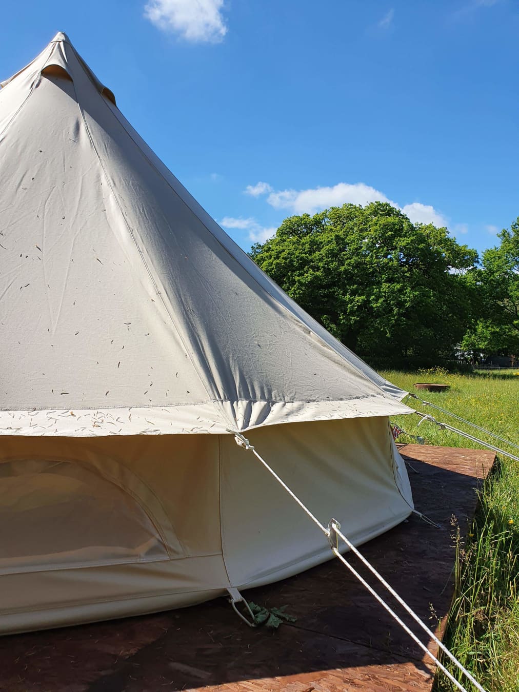 Bell Tent Nala