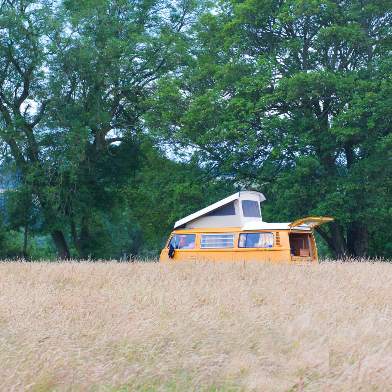 Campervan Pitch