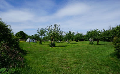 Grass Pitch without Electric Hook-Up