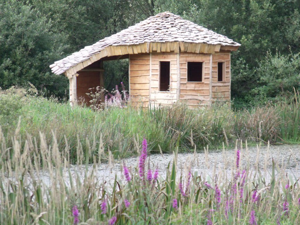 Exclusive use of whole Campsite