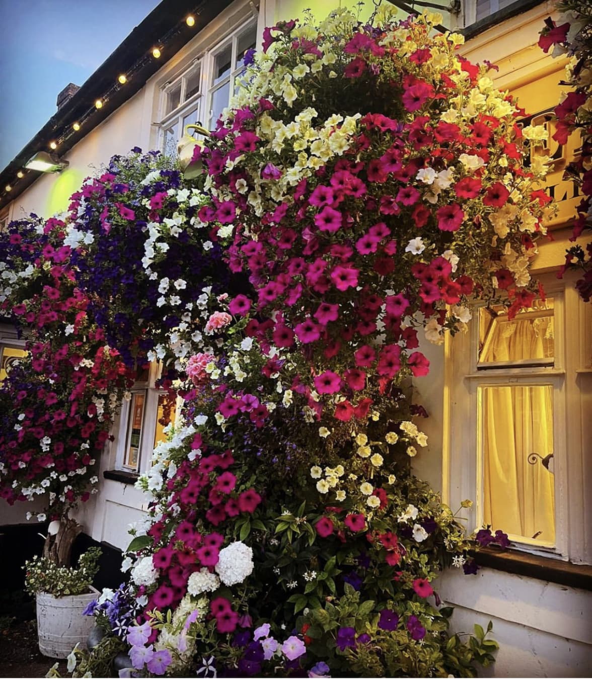 Caravan/Campervan Pitch with optional EHU