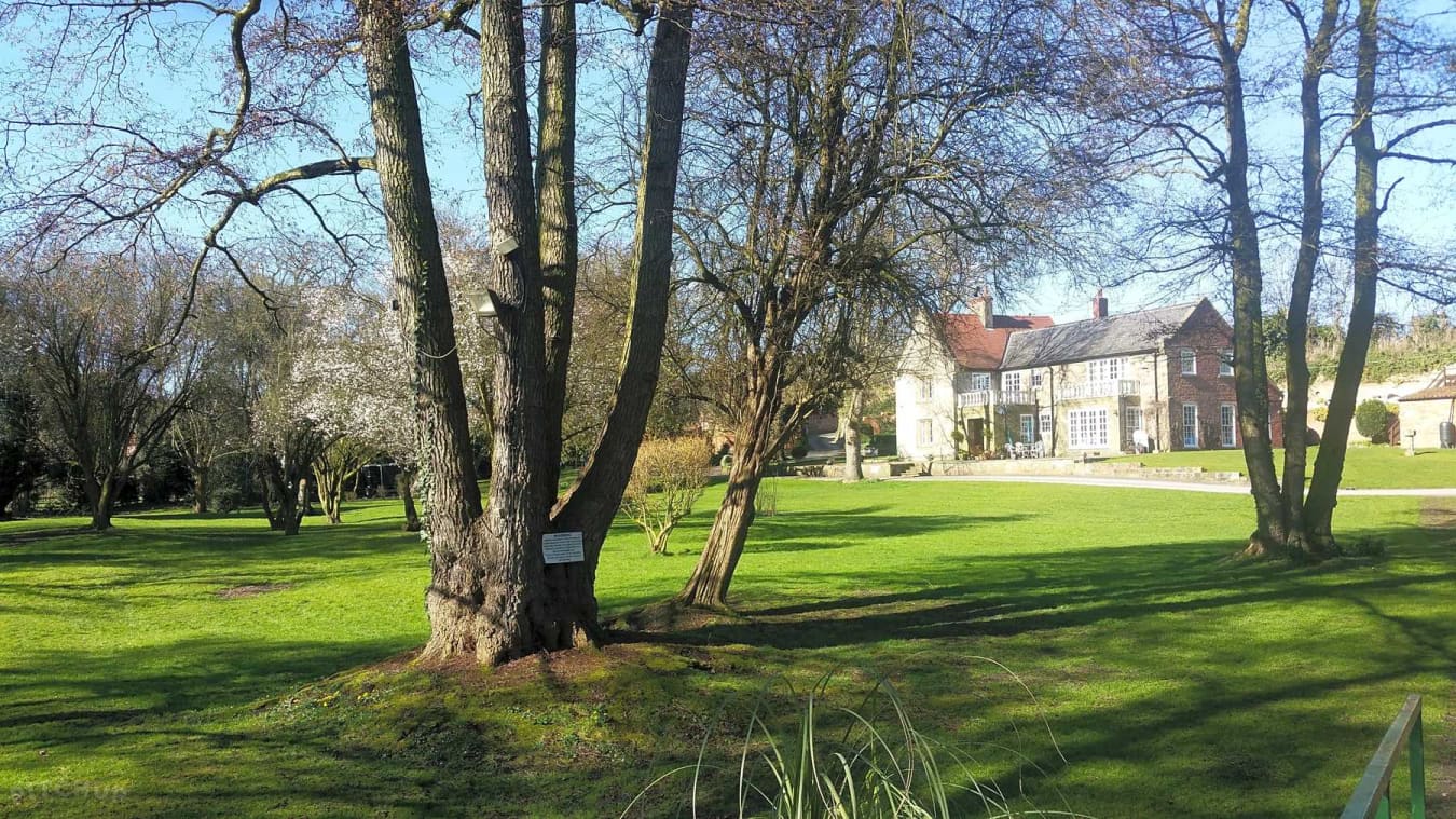 Electric Grass Tent Pitch (Medium)