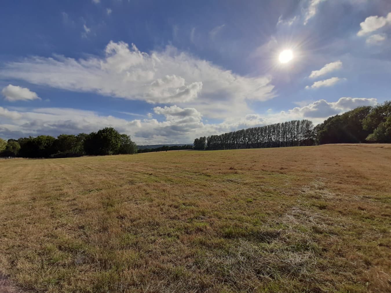 Non-Electric Tent Grass Pitch