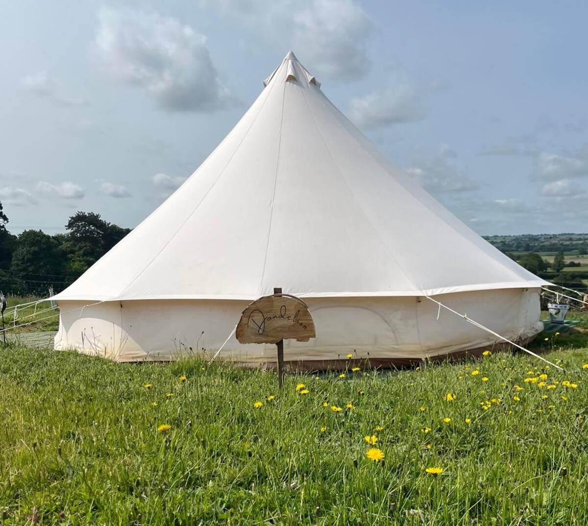 Daisy Bell Tent