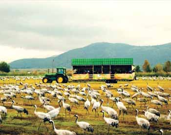 Hula Valley Hula Valley