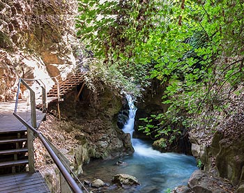 Banias Nature Reserve Banias Nature Reserve