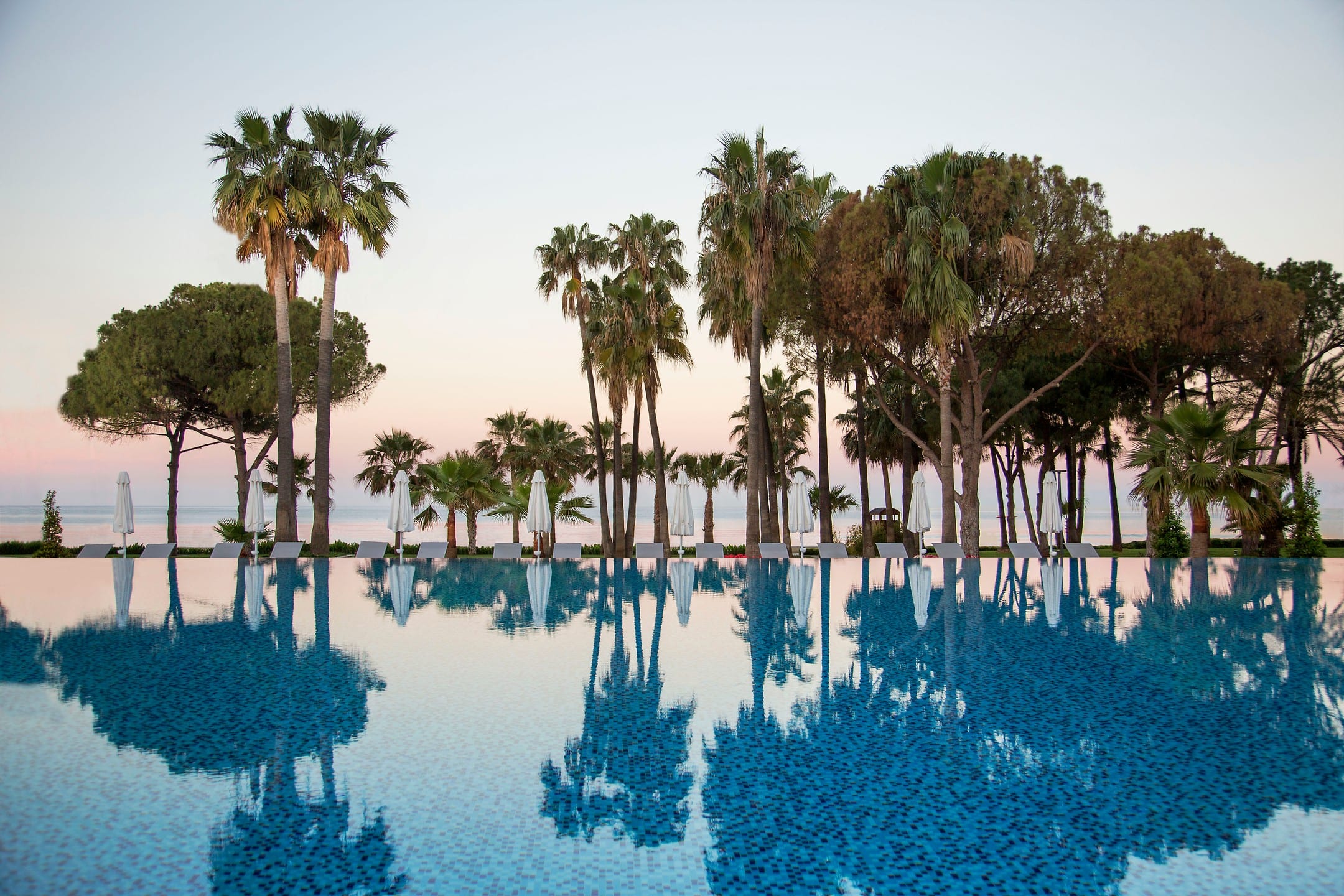 Acanthus Cennet Barut Collection