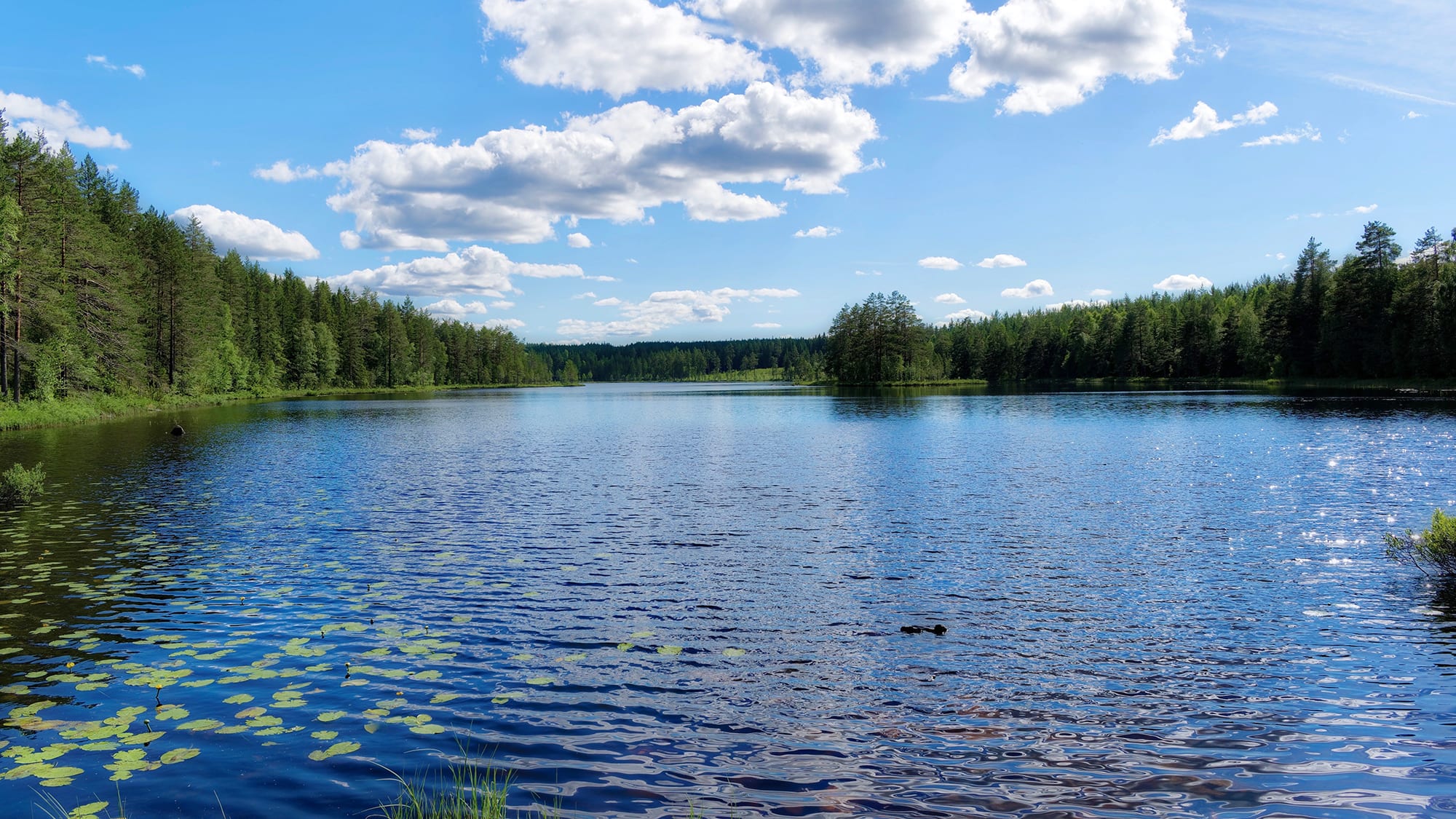Registrera min camping