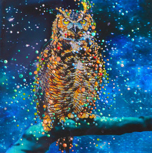 owl_with_stars