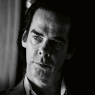 Portrait von Nick Cave
