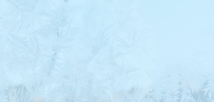 Andreas Föhr: Bodenfrost