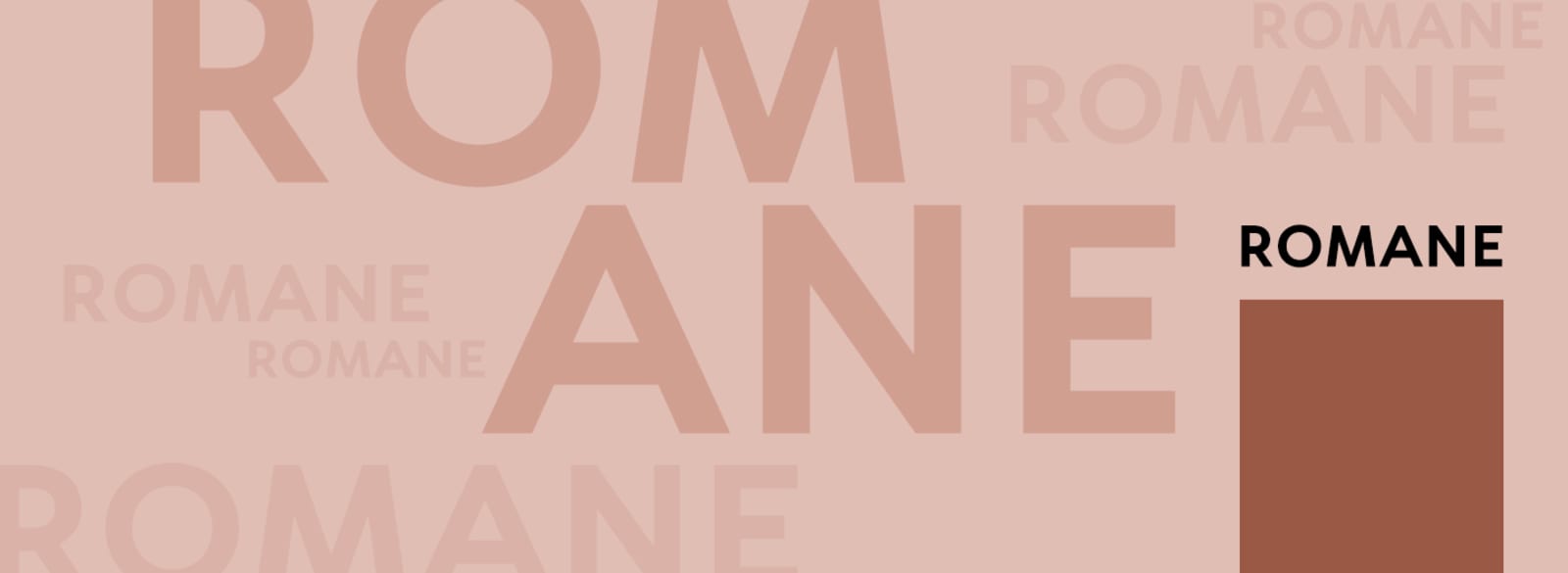 Aktuelle Neuerscheinungen Romane Rowohlt